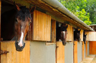 free Gainsford End stable construction quotes